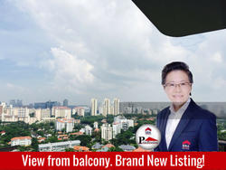 D'Leedon (D10), Condominium #148075402